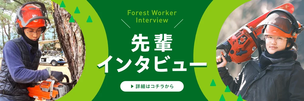 先輩インタビュー