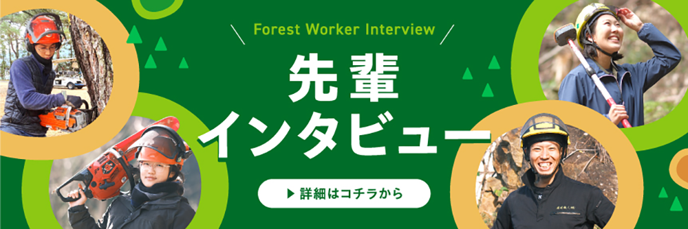 先輩インタビュー
