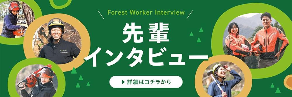 先輩インタビュー