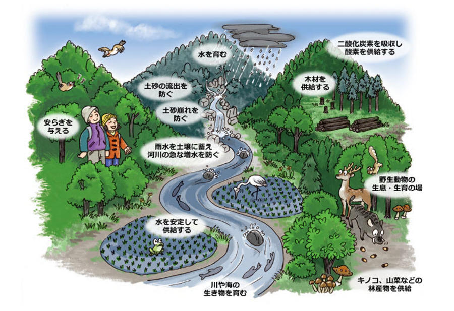 森林の多面的機能