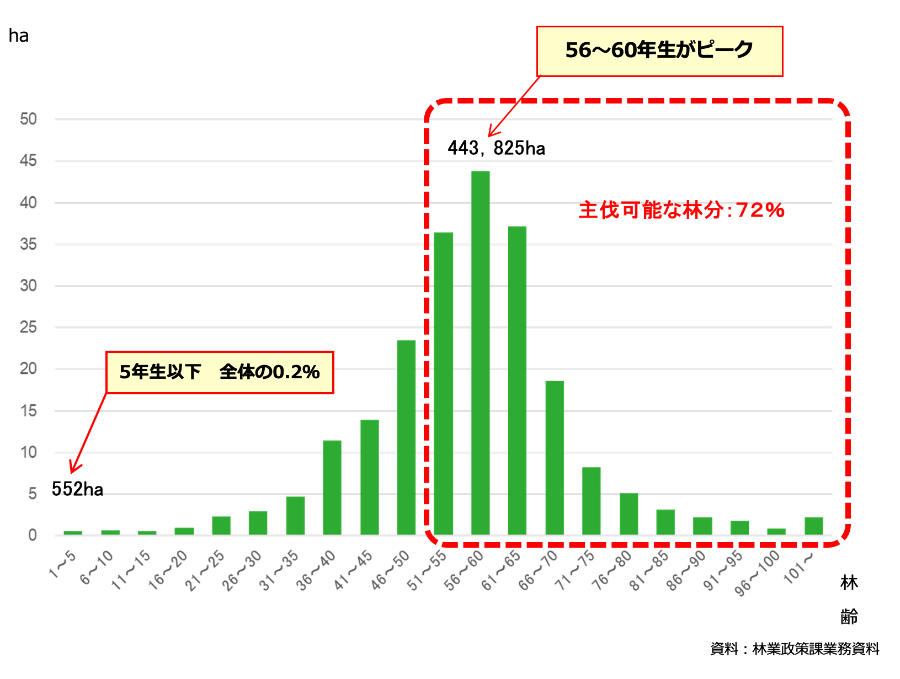 県内の民有林人工林の林齢別面積