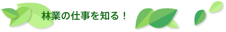 林業の仕事を知る！