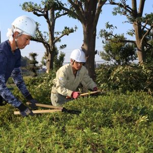 愛媛森連産業株式会社